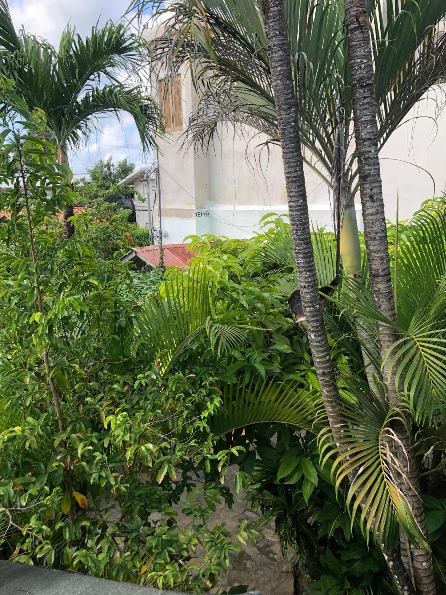 Hotel Casa Robinson Las Terrenas Exterior foto